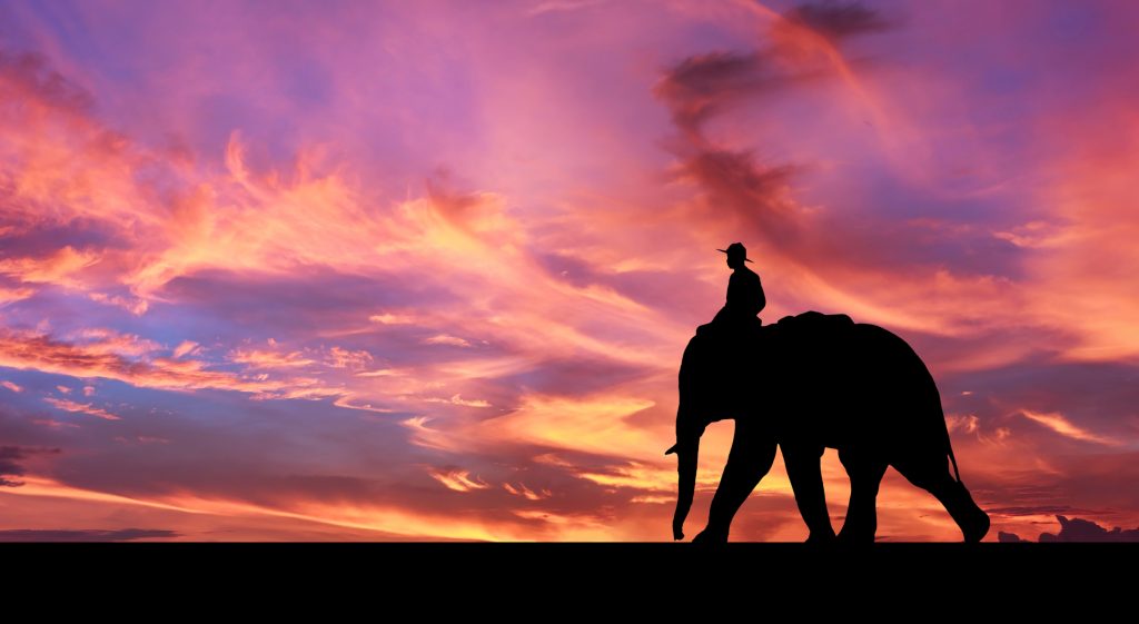 Mahout ride elephant journey through countryside with amazing sky,Thailand.